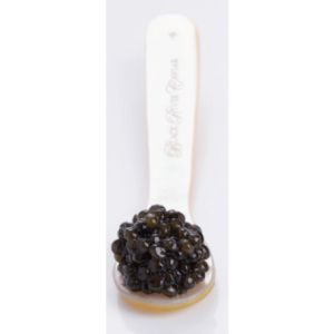 Russian Oscietra Caviar - Tradition Selection
